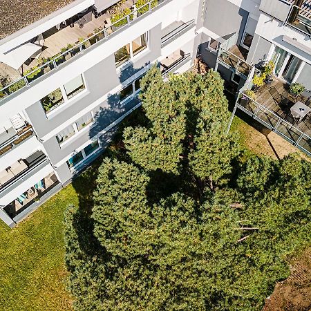 Ferienwohnungen Riese - Weitblick Arnsberg Exterior foto